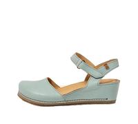 El Naturalista N5850 PICUAL