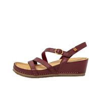 El Naturalista N5855 PICUAL