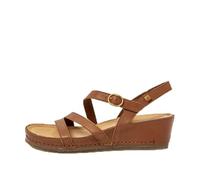 El Naturalista N5855 PICUAL