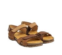El Naturalista N5863 TABERNAS, Sandalia Unisex Adulto, Multi Wood, 43 EU