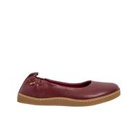 El Naturalista N5912 Origen