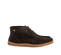El Naturalista N5917 Origen