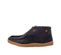 El Naturalista N5917 Origen