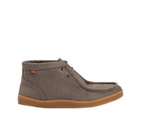 El Naturalista N5917 Origen