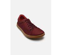 El Naturalista Origen N5910L 41 Burdeos