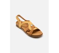 El Naturalista Panglao N5819 36 Amarillo