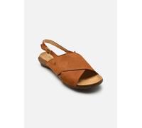 El Naturalista N5558 WAKATAUA