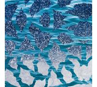 El Nino & The Southern Osc El Nino & the Southern Osc (Vinyl) (Importación USA)