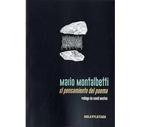 El pensamiento del poema: 5 (Mula Plateada)