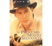 Il profumo del mosto selvatico [Italia] [DVD]
