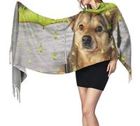 El perro está bajo una sombrilla de kiwi. Llueve. Gotas de jugo en lugar de gotas de lluvia. Bufanda de cachemira para mujer, chal, elegante, cálida y suave, manta grande.