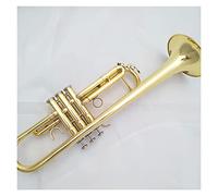 El Piso B Brass B Es Adecuado Para Estudiantes, Adultos Y Principiantes Para Jugar Instrumentos De Latón.