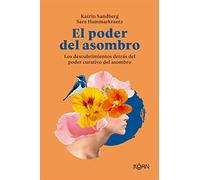 El poder del asombro: Los descubrimientos detrás del poder curativo del asombro (KOAN)