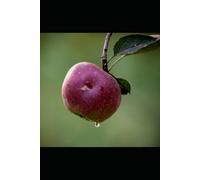 El Porqué de Mirar a Jesucristo y Ponerlo Todo a un Lado por Su Amor