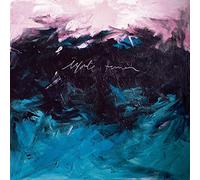 El Primer Vuelo De Las Aves Marinas [Vinilo]