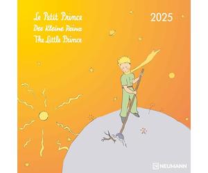 El Principito 2025 - Calendario de Pared - Folletos Calendario - 30x30-30x60 Abierto - Calendario Infantil - Ilustraciones: Le Petit Prince