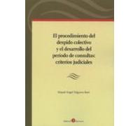 El procedimiento del despido colectivo y el desarrollo del periodo de consultas: criterios judiciales