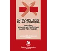 El Proceso Penal En La Encrucijada (2 Volúmenes)