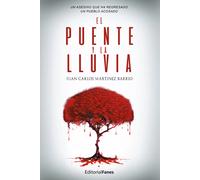 El puente y la lluvia | Juan Carlos Martínez Barrio