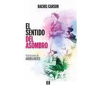 El sentido del asombro: 84 (NUEVO ENSAYO)