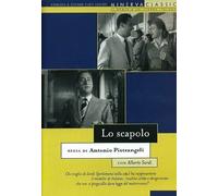 El Soltero DVD MINERVA CLÁSICO