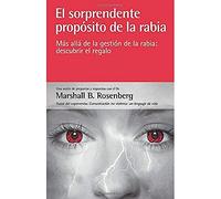 El sorprendente propósito de la rabia: más allá de la gestión de la rabia: descubrir el regalo (SIN COLECCION)