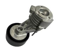 El Tensor de la Correa del generador 11288624196 es Adecuado para el Motor N52B25