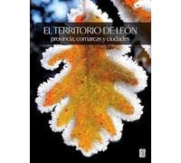 El territorio de León: provincia, comarcas y ciudades (SIN COLECCION)