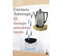 El tiempo mientras tanto (Novela)