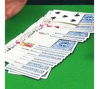 El Triunfo del Novato con vídeo explicativo para su fácil comprensión Trucos de Magia coleccionables