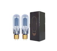 El Tubo 845 sustituye a 845-TII 845-TA WE845 845-DG E-845 A845 Amplificador de for Audio HiFi(2pcs Matched Pair)