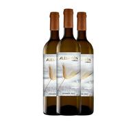 El Vínculo Alejairén Airén La Mancha Crianza 75 cl Vino blanco (Caja de 3 Botellas de 75 cl)