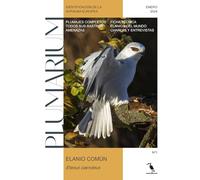 Elanio común (Elanus caeruleus). Identificación de la avifauna europea: PLUMARIUM