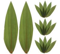 ELAYARD 100 Hojas Decorativas para Sushi y Sashimi Hojas Naturales Grandes para Decoración de Platos Fríos Tapete Verde para Presentación de Comida Japonesa Accesorios para Restaurante