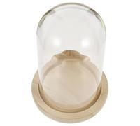 ELAYARD Cúpula de Cristal para Flores Inmortales con Base de Madera Natural 12X21 CM Cubierta Protectora Multiusos para Decoración de Hogar y Arreglos de Micropaisajes