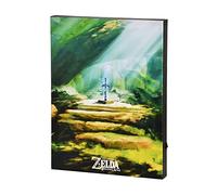 Elbenwald Zelda Espada Maestra Mural de pared con luz Funciona con pilas 30 x 40 x 3,8 cm