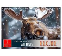 Elche - die Stimme der Wildnis (Wandkalender 2026 DIN A4 quer), CALVENDO Monatskalender: Die nordischen Könige des Waldes in Szene gesetzt.