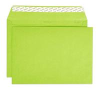 Elco 24095.62 - Caja de color con tapa y 200 sobres (cierre autoadhesivo, C4, 120 g, sin ventana), color verde