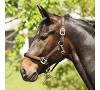 eldorado Cabezada De Nylon Para Caballos Lea Marrón Kaltblut