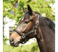 Eldorado Nylon-Pferdehalfter Lea - Negro - Pura Sangre Cabestro Führhalfter