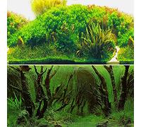 ELEBOX Papel pintado de 20 x 48 pulgadas para peceras de 2 caras de colores de algas marinas, plantas de agua y acuario