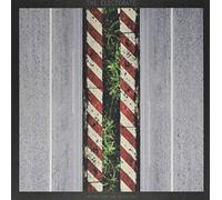 Electorate - You Don't Have Time To Stay Lost [VINYL] [Vinilo]