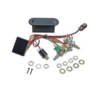 Electric Bass Pickup Systems - Placa de control de graves eléctricos y textura metálica para actuaciones y