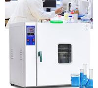 Electric Heating Fast Drying Oven Constant Temperature Lab Test Small Oven High Temperature Industrial Dryer, 300 Degrees C 42L