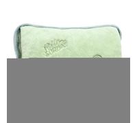 Electric Hot Water Bottle with Soft Short Velvet Cover, 27x19x4cm Rechargeable Hand Warmer for Period Cramps, Muscles, Neck, Legs, Waist, Belly, 500W