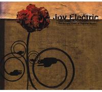 ELECTRIC, JOY - ART & CRAFT OF POPULAR MUSIC