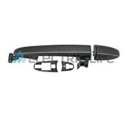 ELECTRIC LIFE Tirador Trasero Plástico para Mercedes-Benz Sprinter 35-T ZR80630