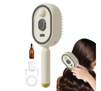 Electric Steam Brush - Rechargeable Detangling and Anti-Frizz Comb | Electric Spray Air Cushion Massage Comb | Rechargeable Red Light Combs with Mist, Essential Oil, Gift Box