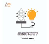 Electricity: Simple Science Facts for Kids (Simple Science Series - English)