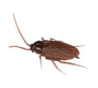 Eléctrico Inicio - Cucaracha falsa | 11 x 6,5 x 2 cm, robótico de araña